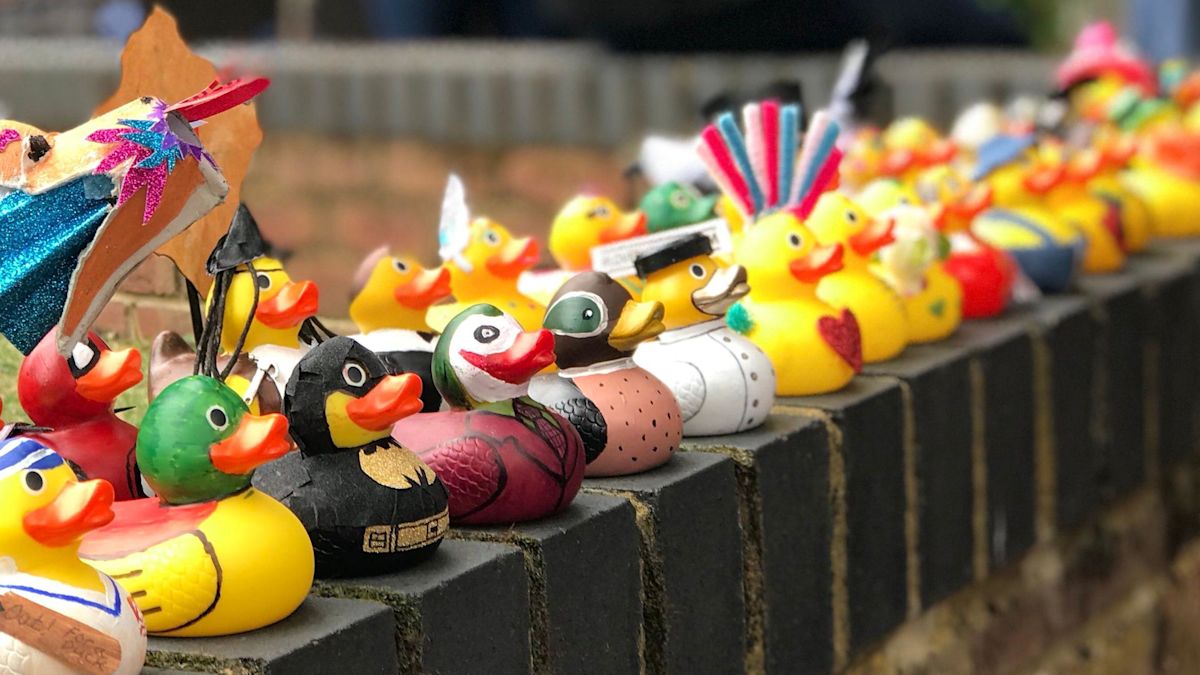 Duck race postponed due to low river levels