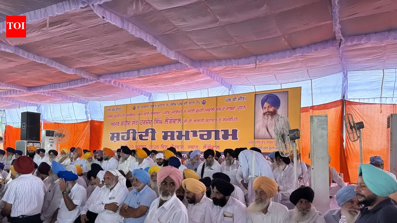 ‘Punjab needs politics of principles, not power’: Giani Harpreet Singh
