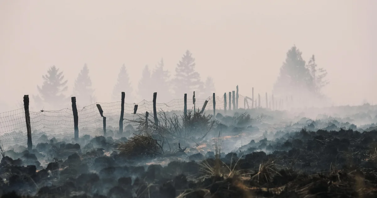 European wildfires expose, detonate buried bombs and mines from past wars