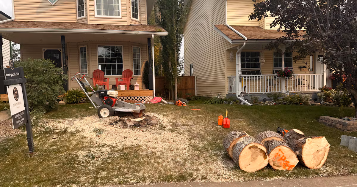 ‘I started yelling through the camera’: Overpayment scam leads to tree