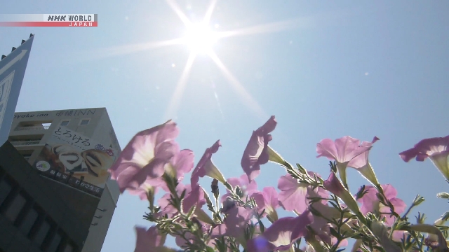 Sweltering heat grips eastern, western Japan