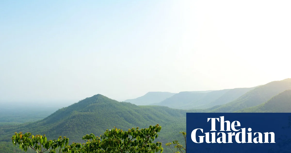 The whitewashing of the Green India Mission forest expansion initiative