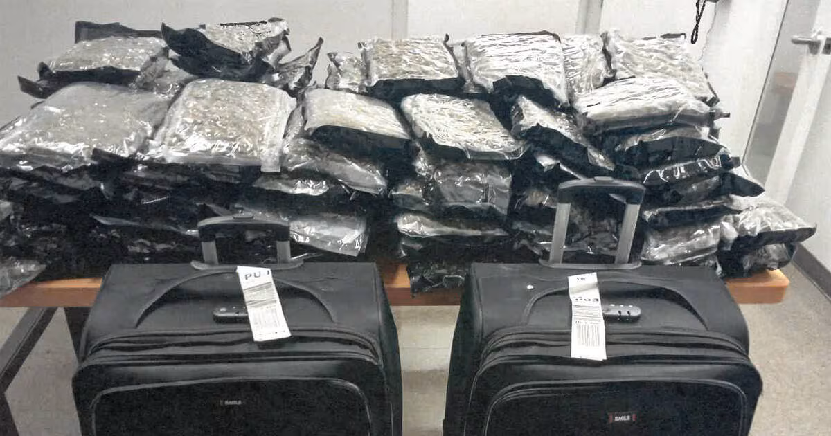 Two Air Canada employees arrested in connection with drug trafficking