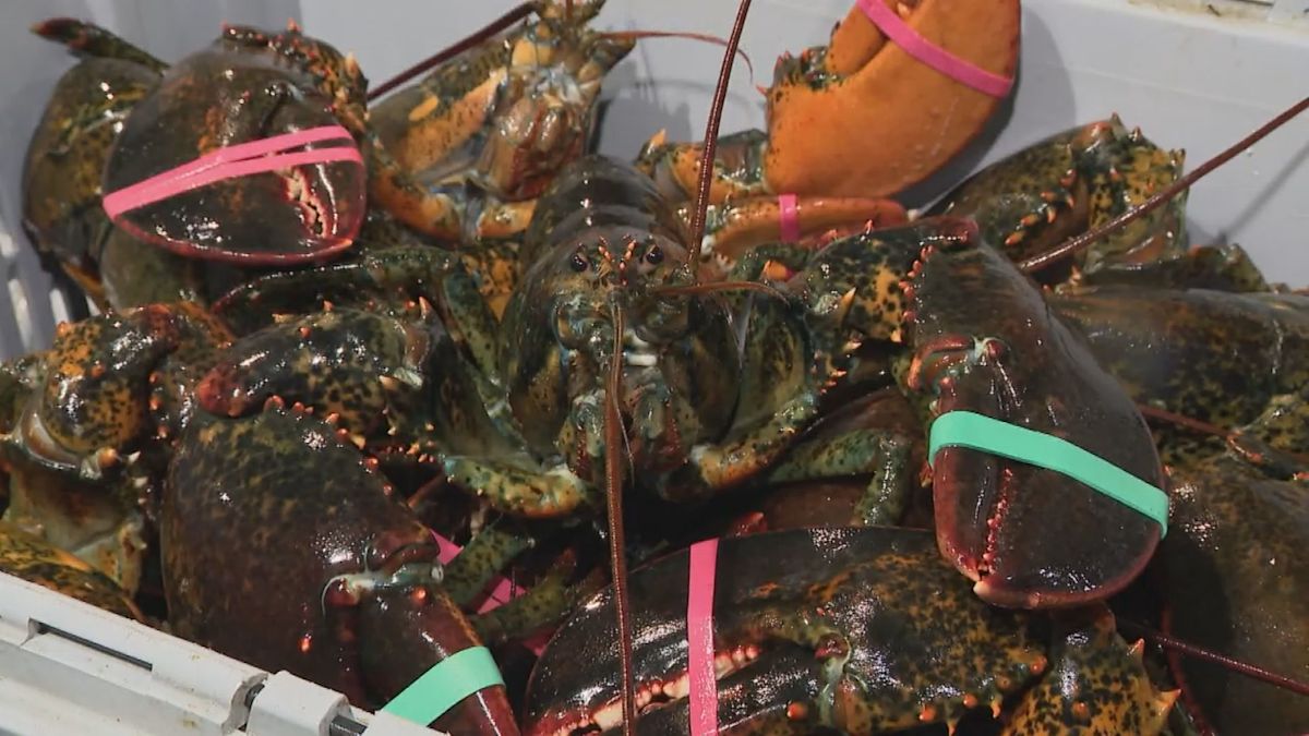 Canadian seafood sector worried about counter