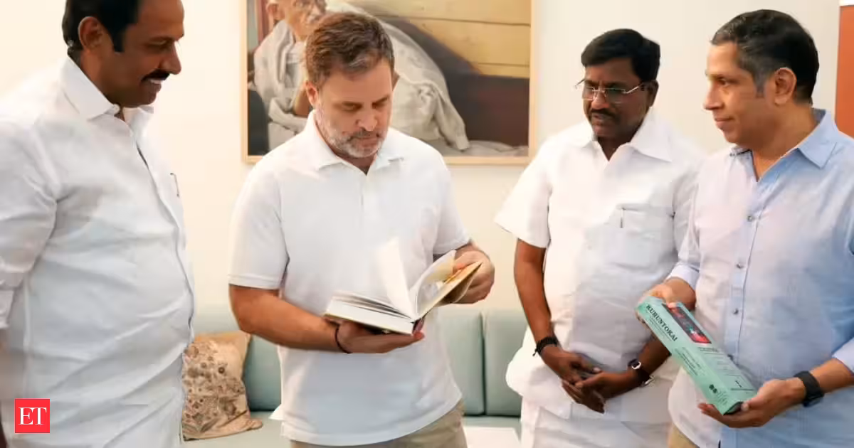 Rahul Gandhi INDIA bloc's 2029 PM candidate: Tamil Nadu minister P Viswanathan