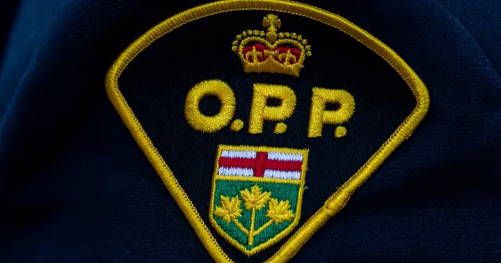 Beachgoers find body of missing Scarborough swimmer: OPP