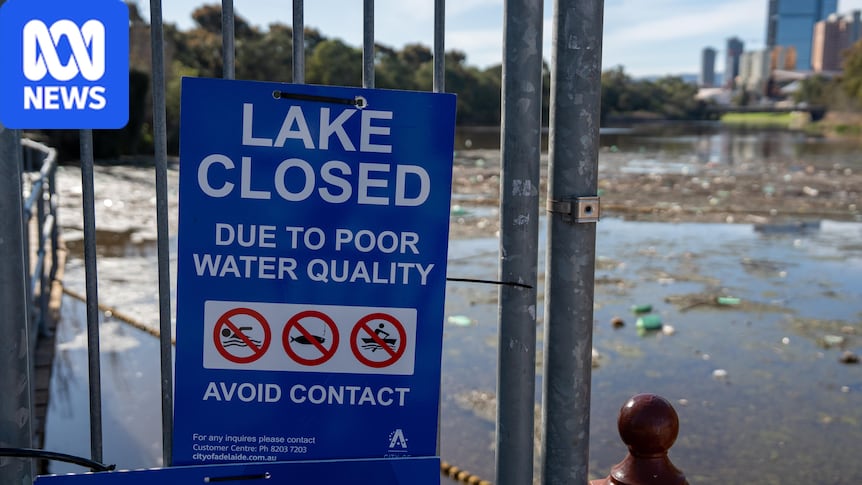 Can tiny bubbles restore health to the River Torrens lake?
