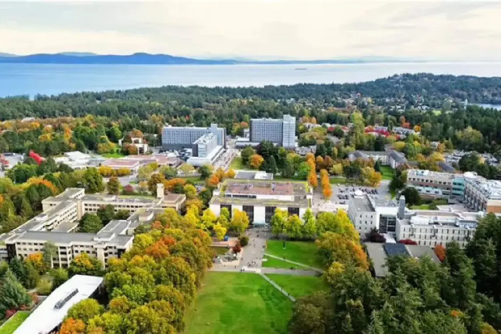 UVic initiative looks to promote blended finance in Canada