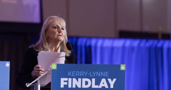 B.C. Conservative MLA Donegal Wilson quits caucus