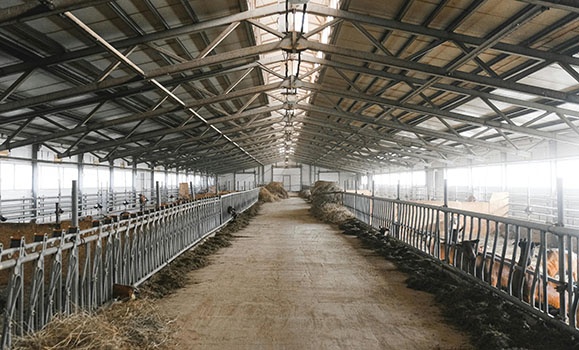 Hackers, barns, and breakfast: Why agriculture needs cybersecurity