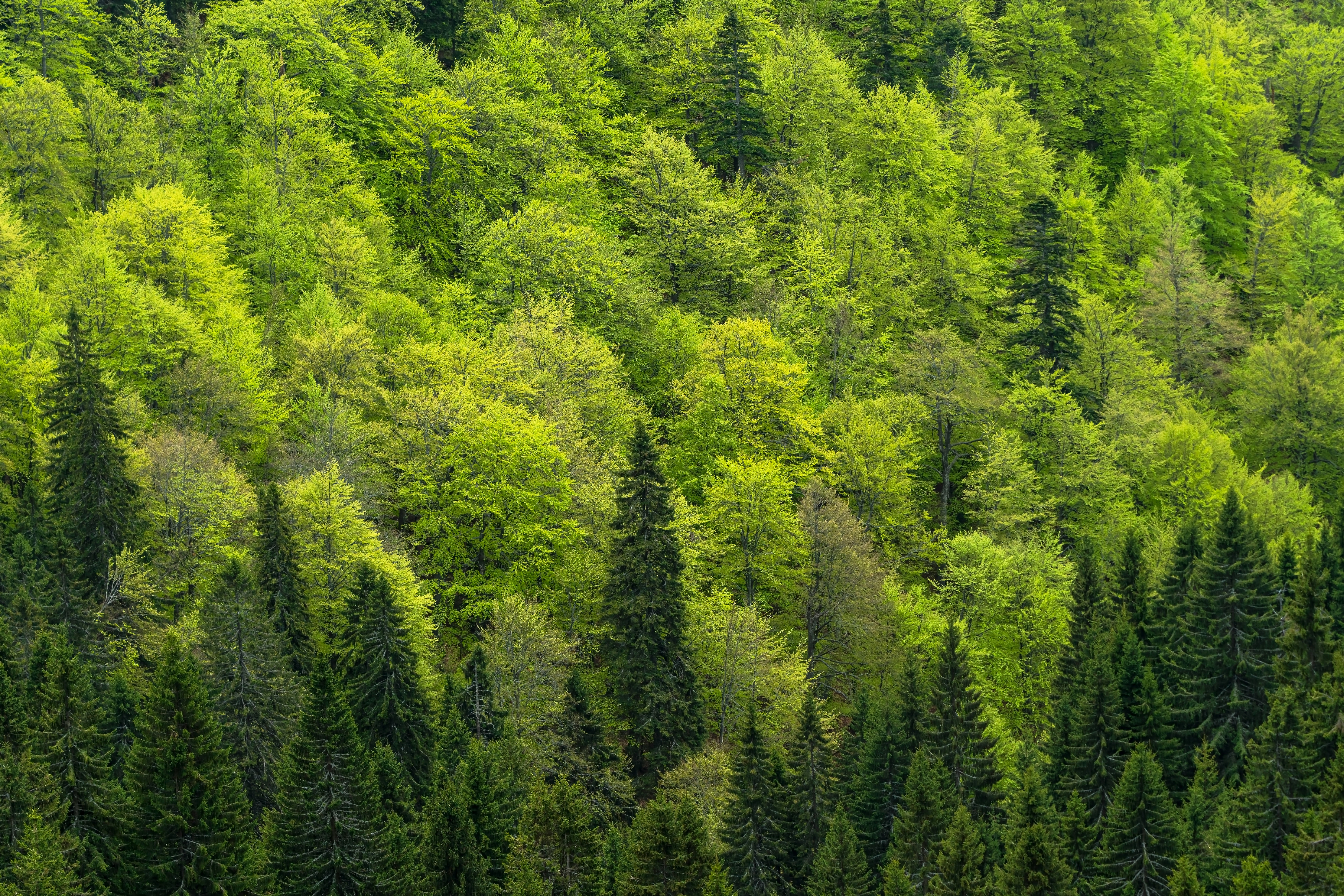 Financing nature: Policy strategies to support investment in nature markets