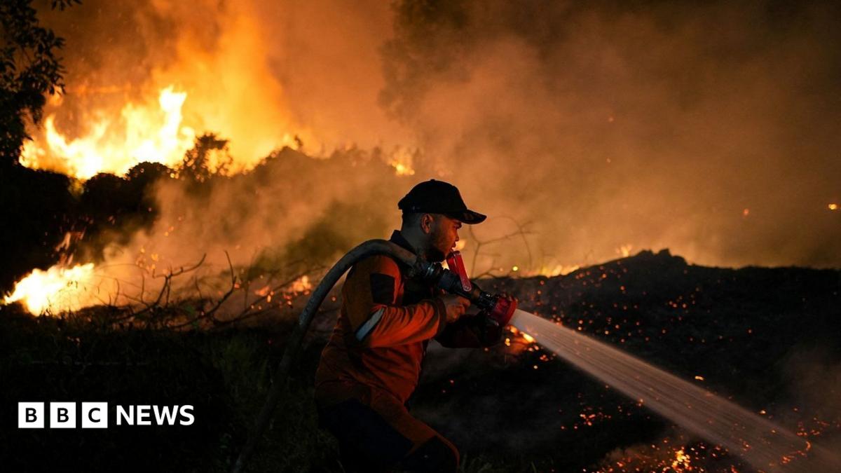 Indonesia wildfire live updates: Toxic haze spreads to Malaysia and Philippines