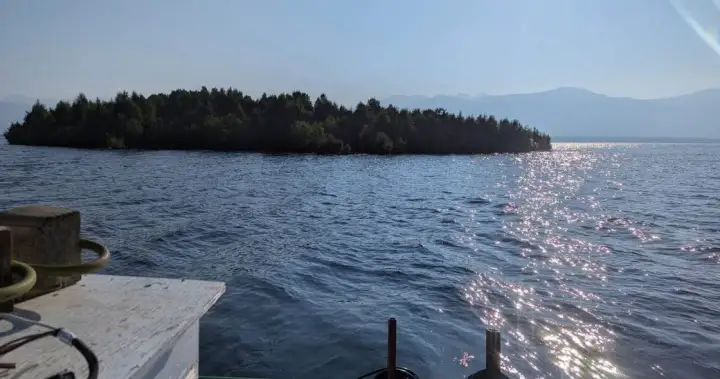 An island is floating around a B.C. reservoir