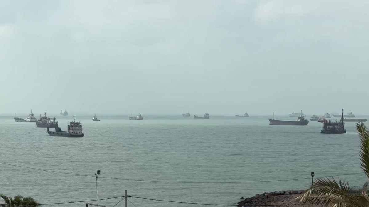 Video shows ships near Strait of Hormuz