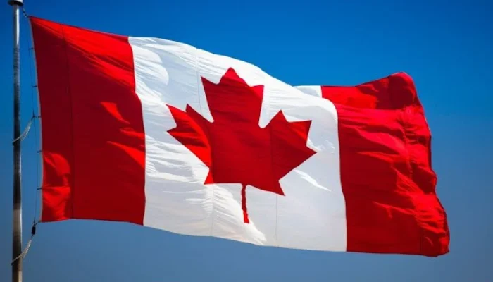 Canada’s trade surplus drops to $769M in July: StatCan