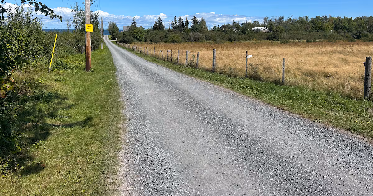 State of Canadian cottage real estate analyzed as buyers navigate shifting market