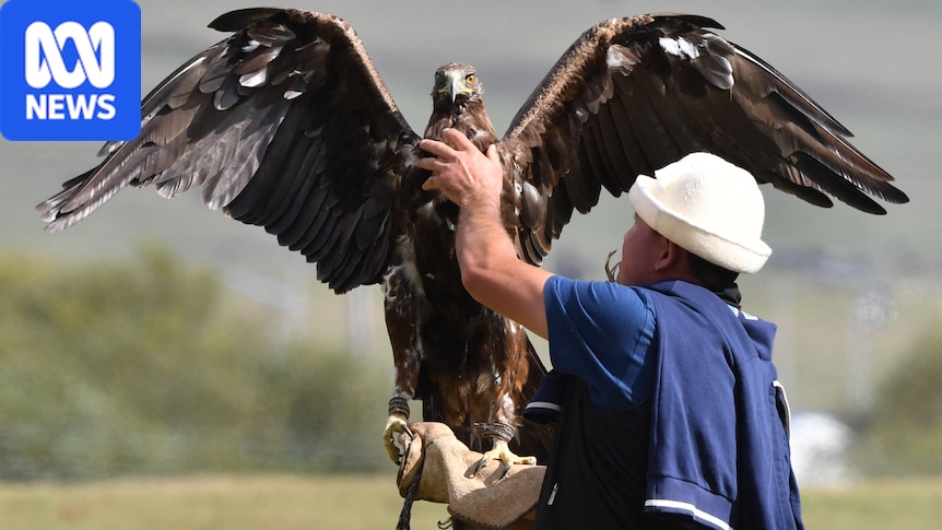 What are the World Nomad Games and why are Australians competing?