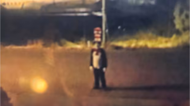 Police investigating after person in Cat in the Hat costume chases teen in West Kelowna