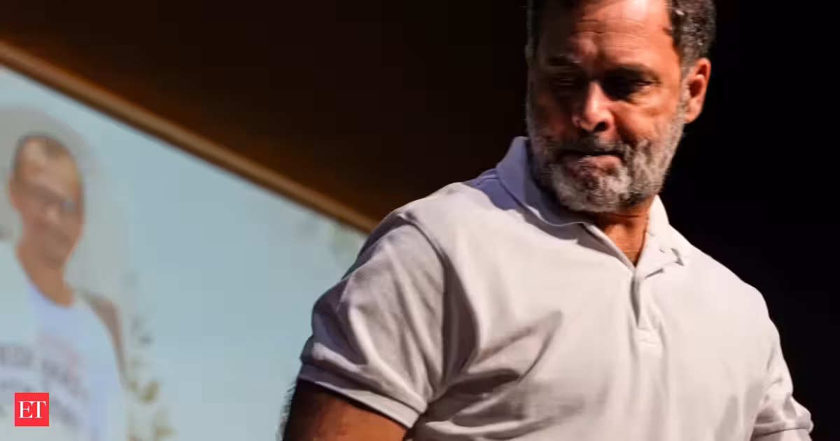 Rahul Gandhi to be INDIA bloc's PM candidate in 2029 Lok Sabha polls: Tamil Nadu Minister Viswanathan