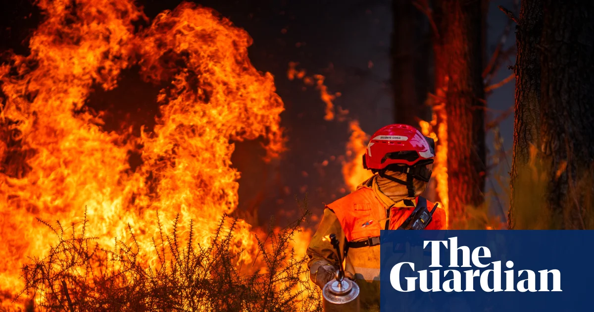 Who are the 514 people accused of starting French wildfires and what motivates them?