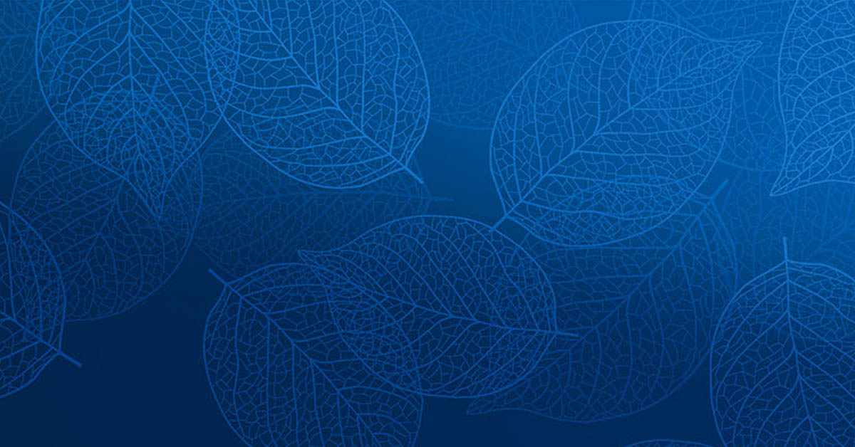 Sustainable Finance Themes for 2025
