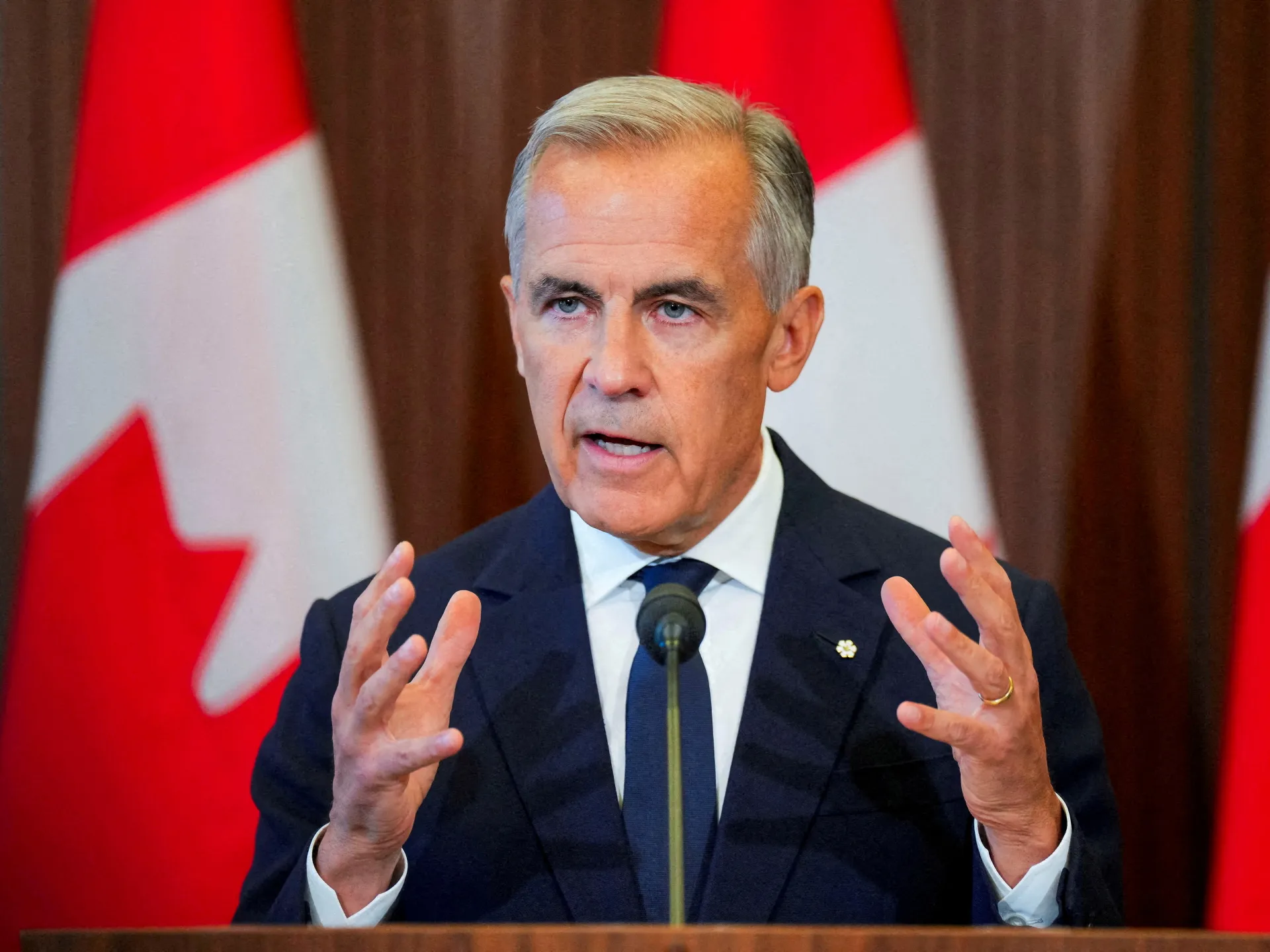 Carney pitches Canada to global investors amid US trade war
