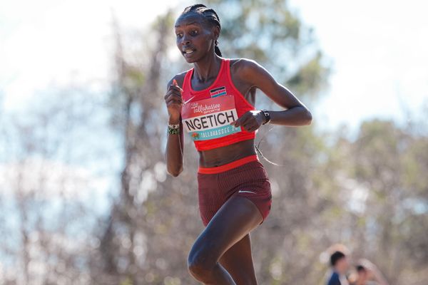 WRRC Copenhagen 26 preview: women's half marathon