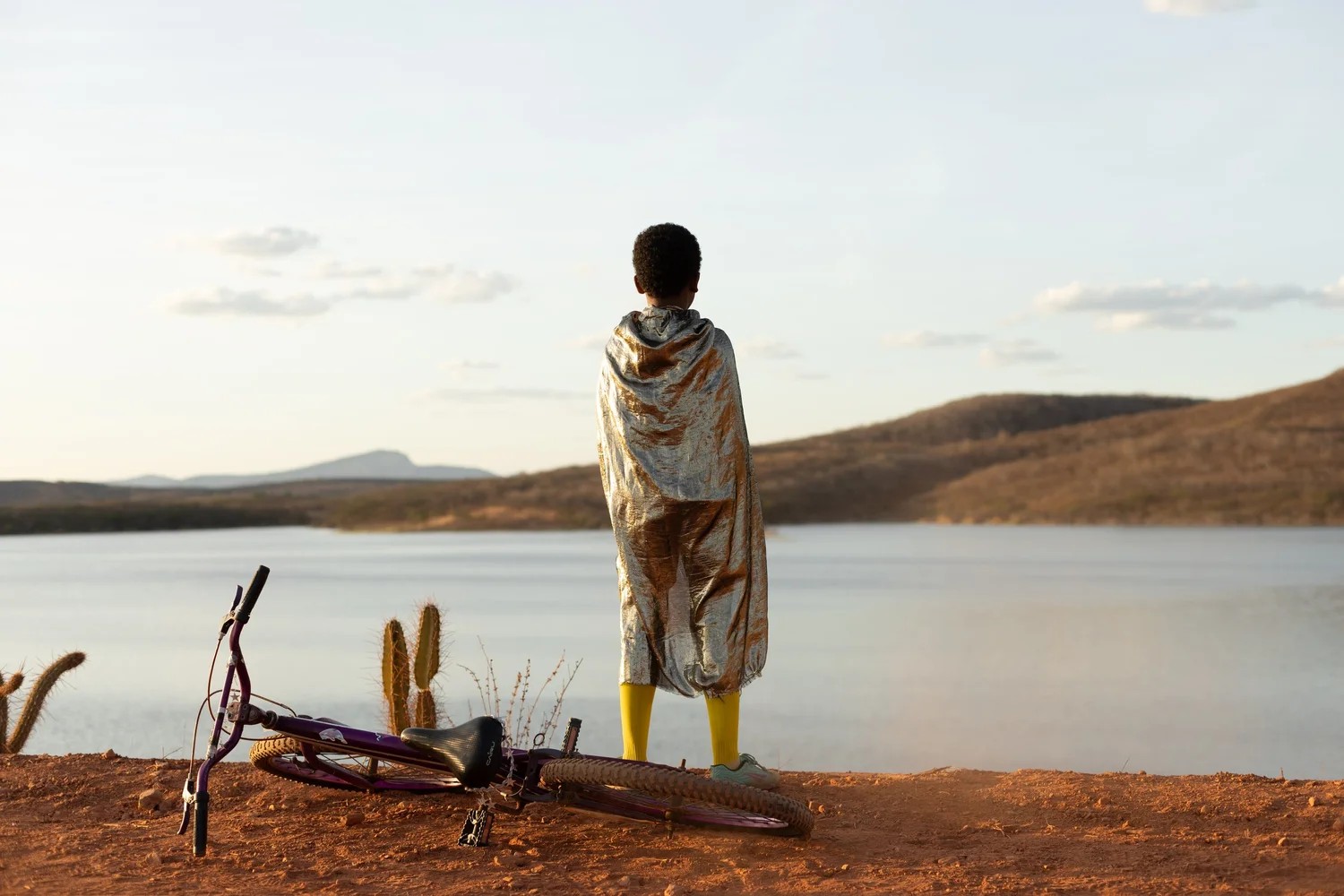 Brazilian cinema is having a moment. A new S.F. film festival shows why