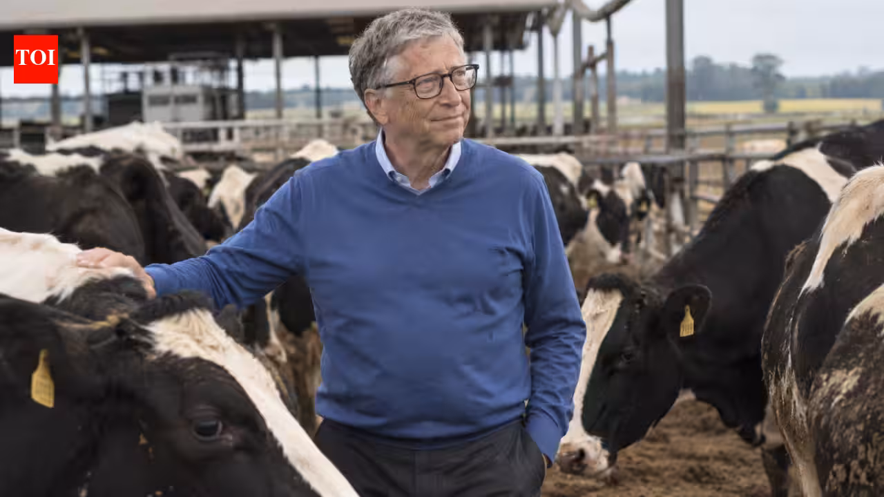 Bill Gates is backing technology to cut methane from cattle; changing what cows release in atmosphere cou