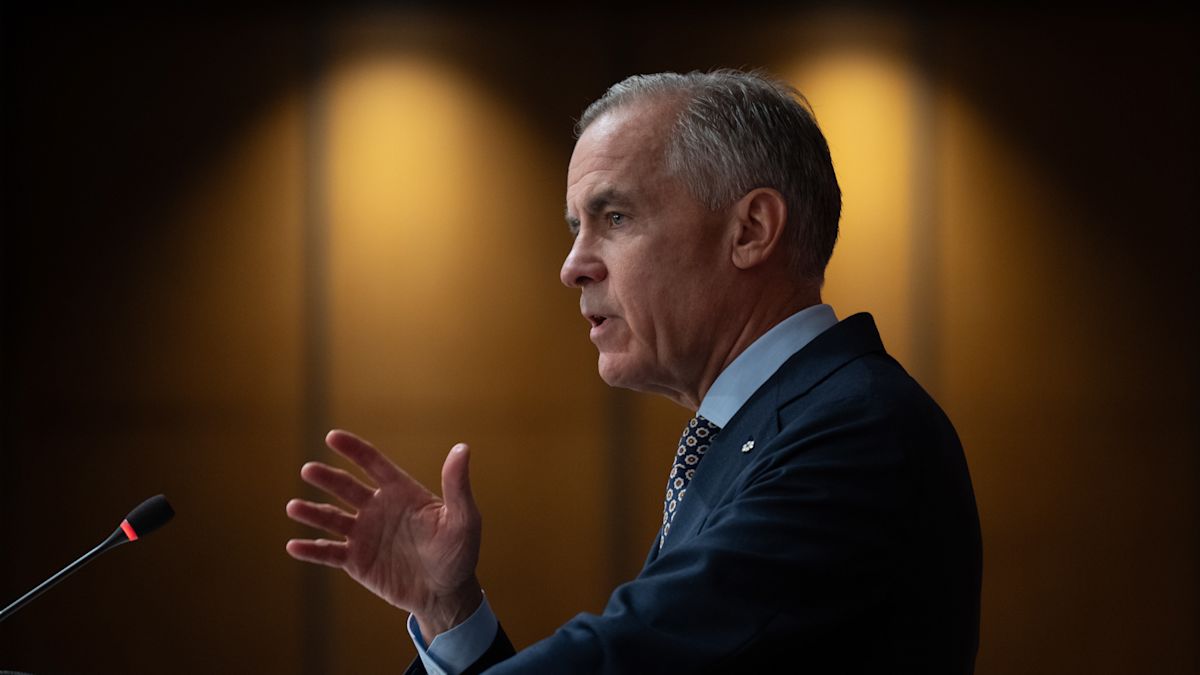 Carney says results from plan will take time