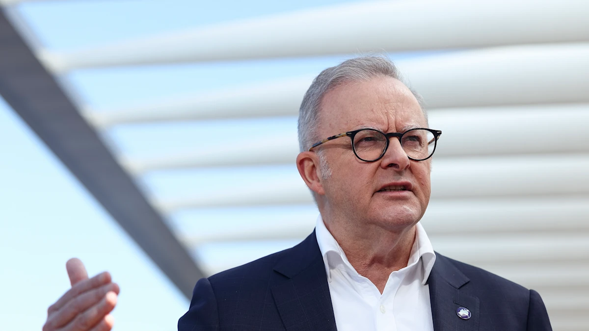 Albanese to push for global AI guardrails on but won’t commit on copyright