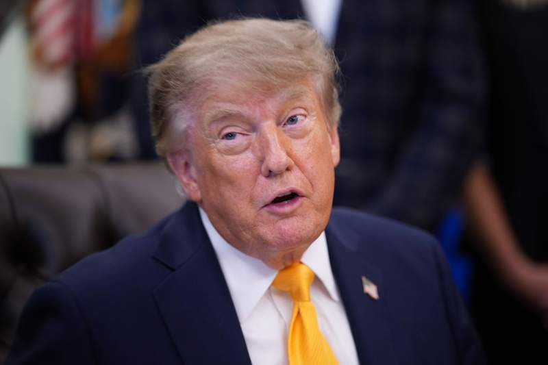 Matt Walsh questions Trump’s push to rename “Artificial Intelligence” after POTUS unveils the final two name suggestions