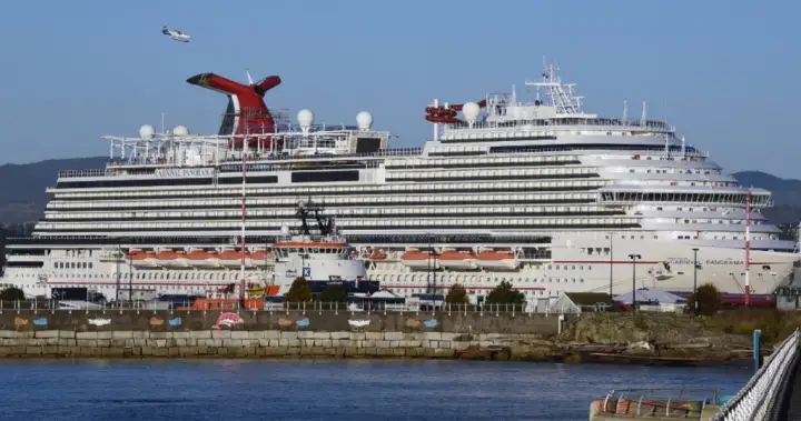Carnival Cruise passenger jumps overboard from ship heading to California