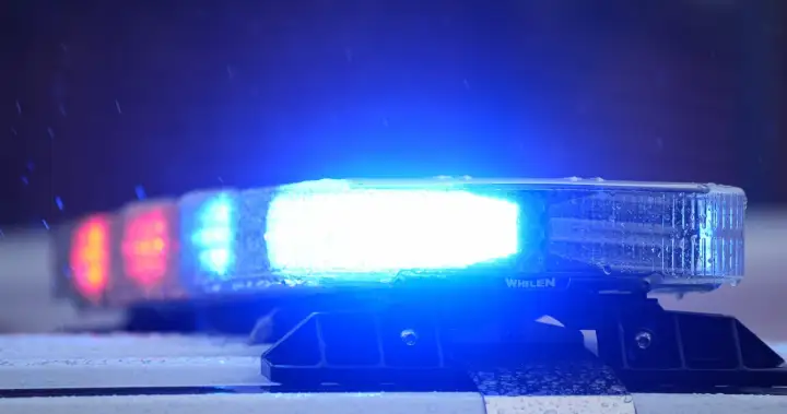 Wrong turn leads CBSA to catch kidnappers of Ontario teen: police