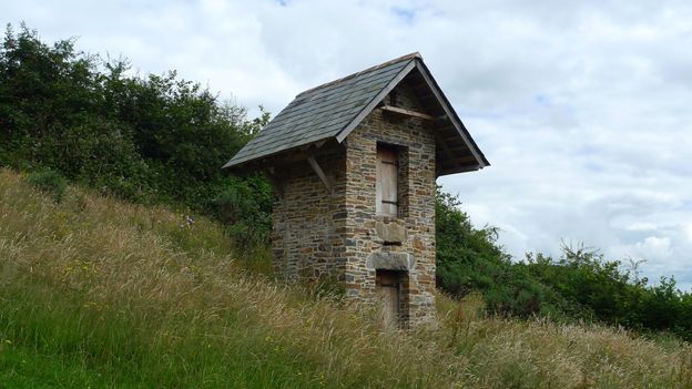 Eight ingenious homes for wildlife around the world