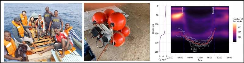 ASL Acoustic Profiler Reveals Vertical Migration of Midge Larvae in Lake Malawi