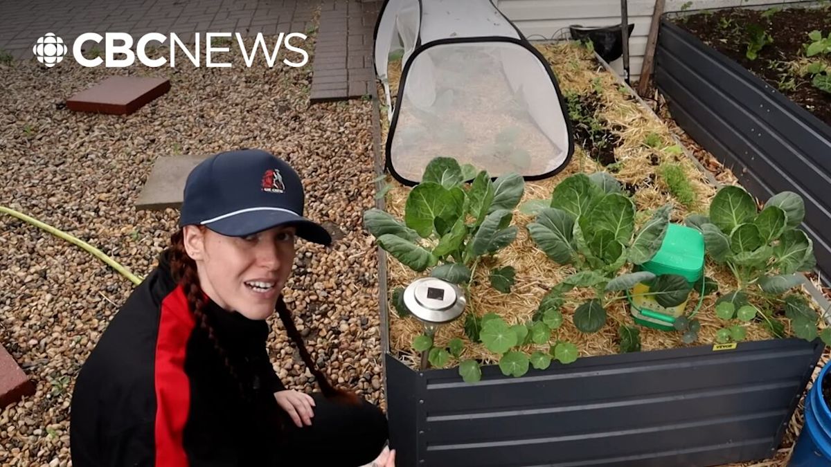 New show highlights different ways Sask. people garden