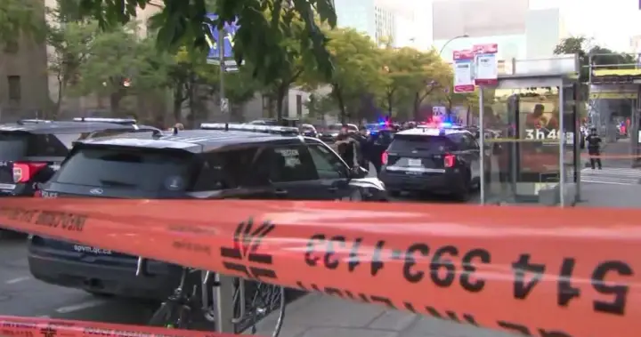 ‘Terrible tragedy’: Federal leaders condemn killing of Montreal woman on Zoom call