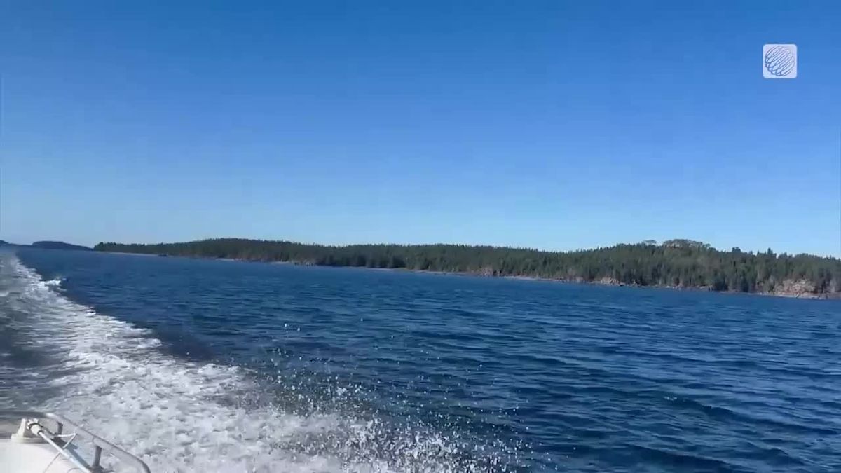 A beautiful day for fishing in Birchy Bay, NL