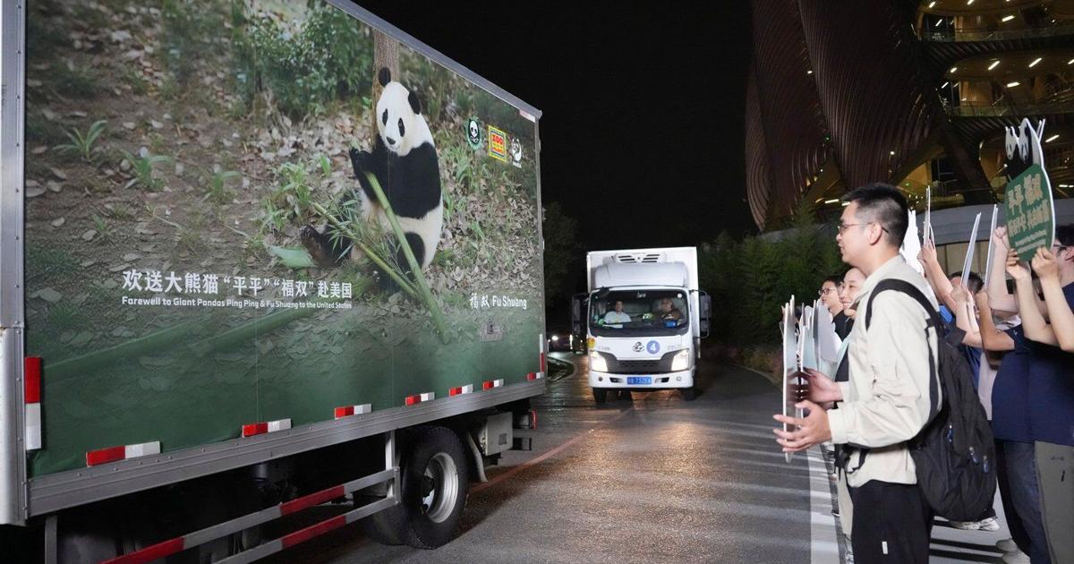 2 giant pandas set off to Atlanta zoo from China after Xi