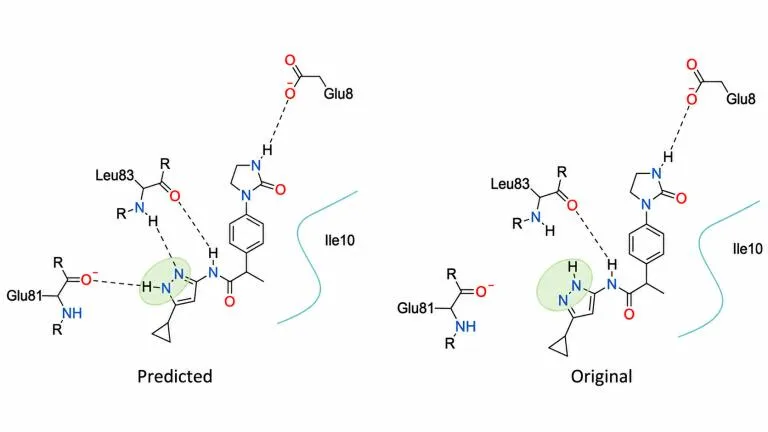 Artificial Intelligence tool predicts stable hydrogen positions in drug-like molecules