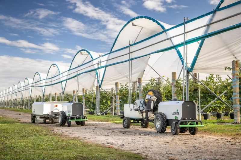 Agovor’s robots go down on the farm after birth in adversity