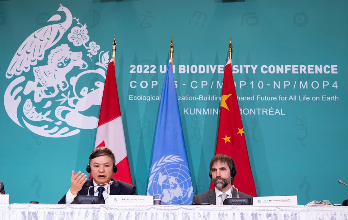 Canada led a 2022 deal to protect the world's nature. Has there been progress since then?
