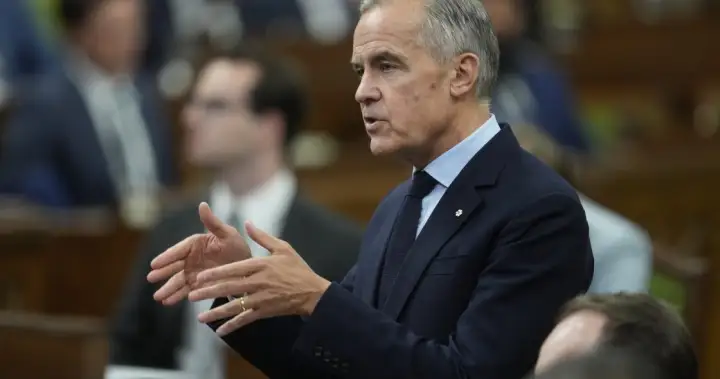 Immigration increase could be on the horizon, Carney suggests in interview