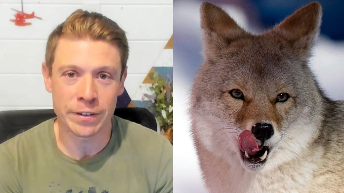 What happened the moment a coyote attacked this camper?