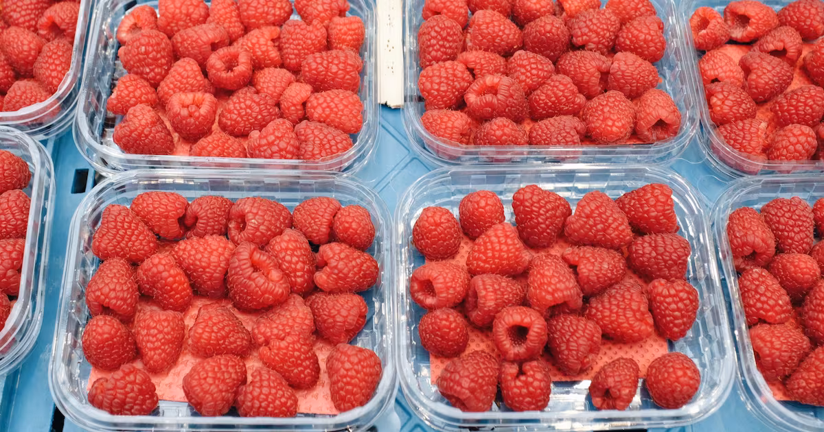 World’s largest berry distributor faces class