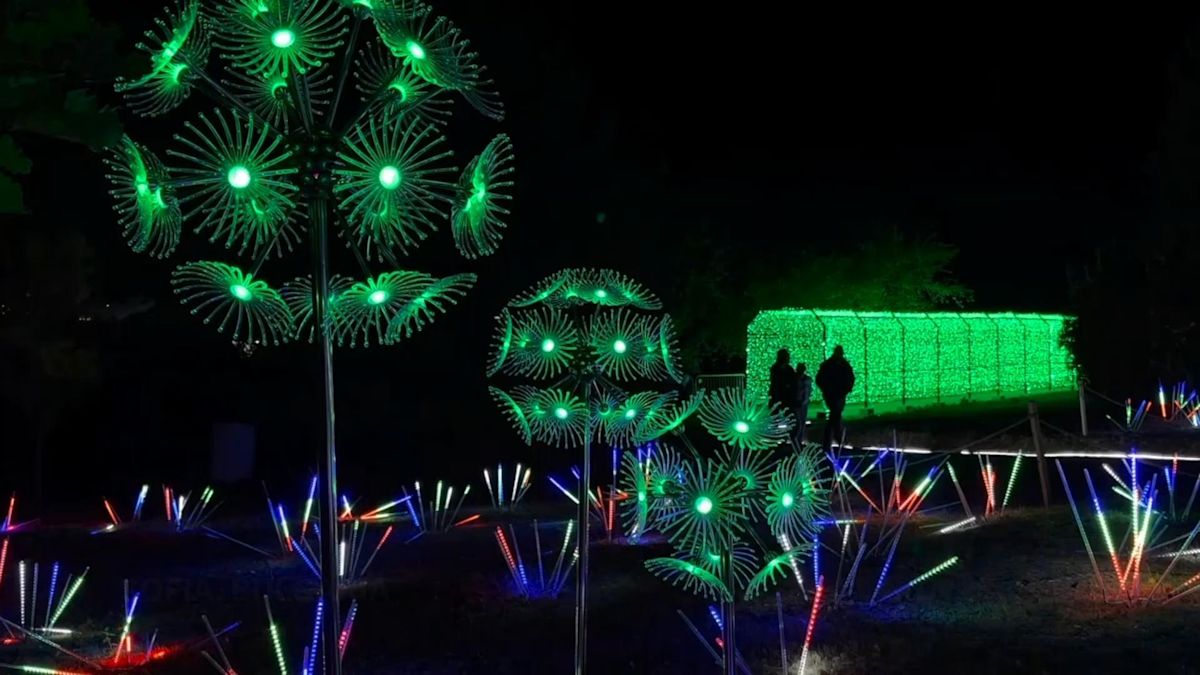 Fireflies and magical forests sparkle in Sofia's Botanical Gardens