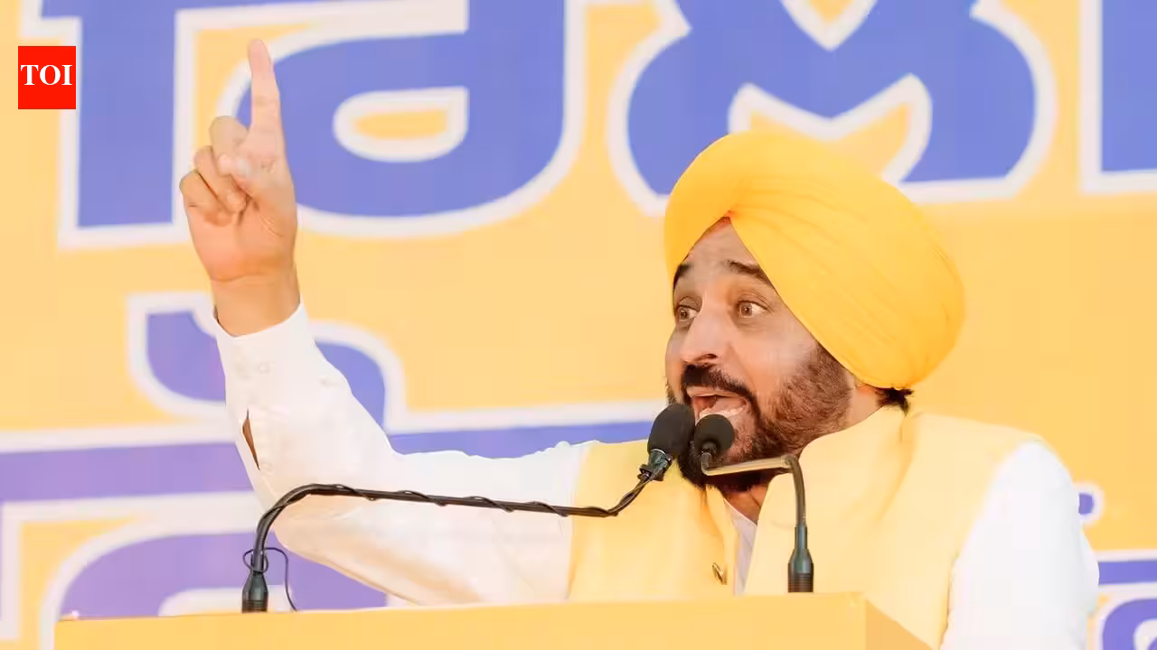 In Fatehgarh Churian, Mann pitches ‘kaam ki raajneeti’ against ‘family politics’