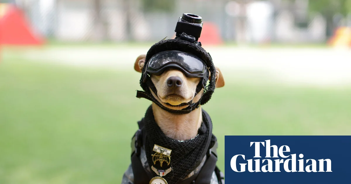 Paw patrol: Mexico debuts tiniest national guard recruit