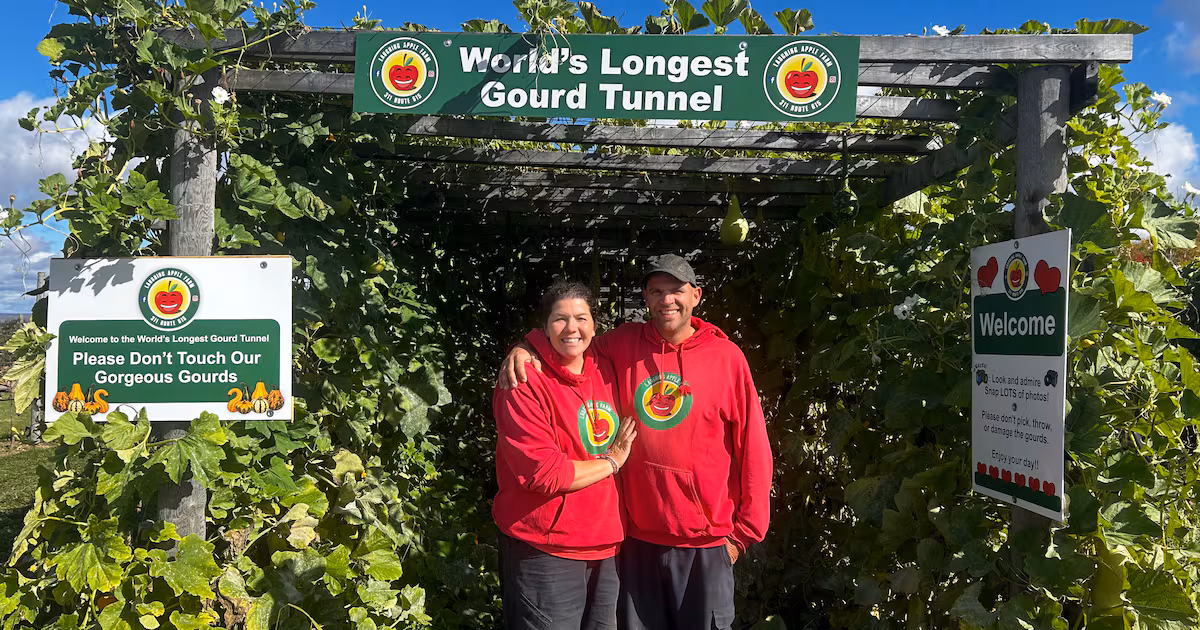 N.B. farmers grow world’s longest gourd tunnel